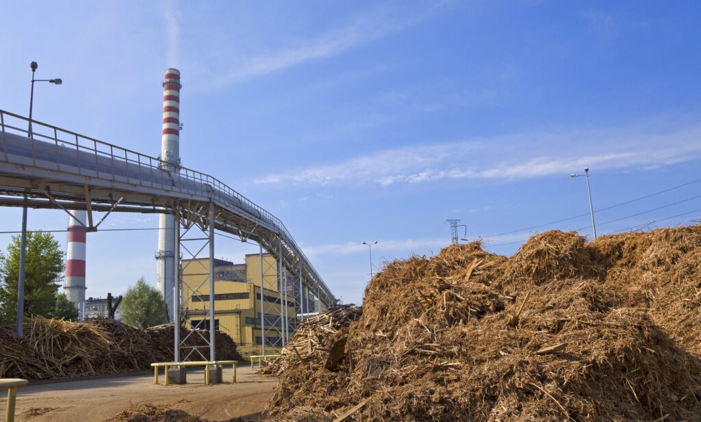 Biomass production supports transition to clean energy
