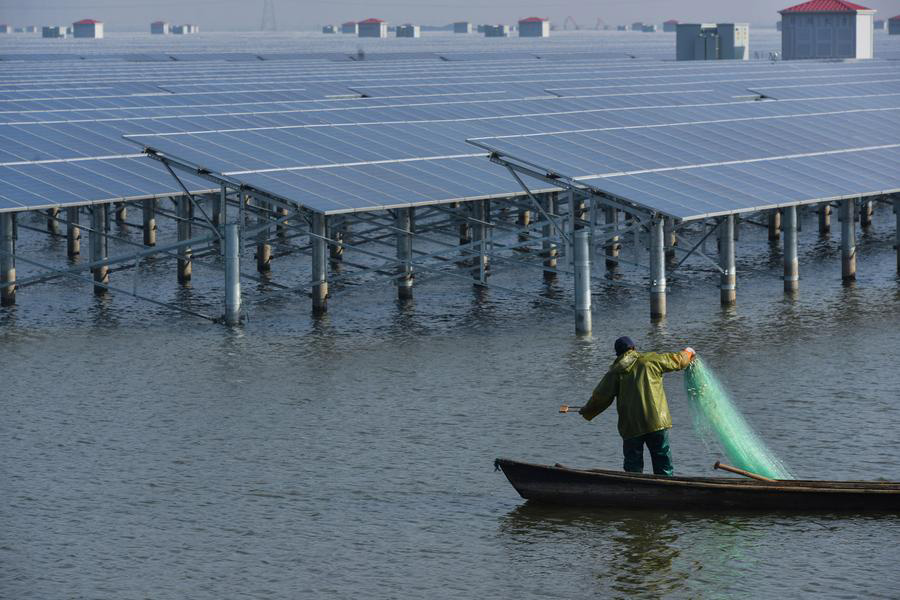 Solar PV powering fish farming 